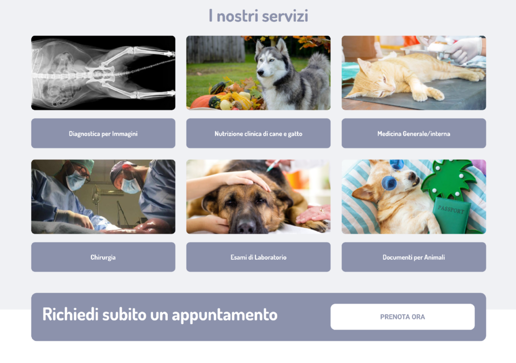 Screenshot della sezione i nostri servizi del sito ambulatorioveterinariocastelsantangelo.it