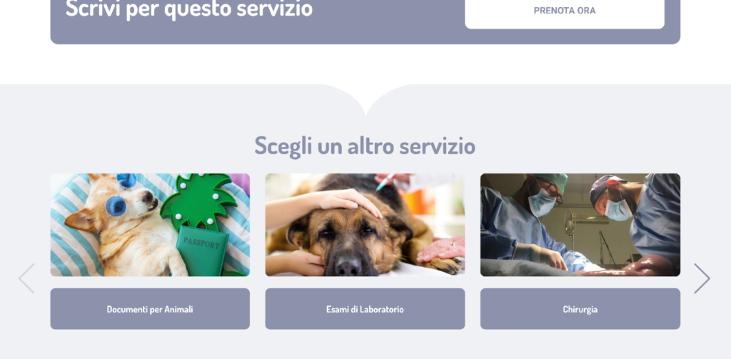 Screenshot dello slider scegli un altro servizio del sito ambulatorioveterinariocastelsantangelo.it