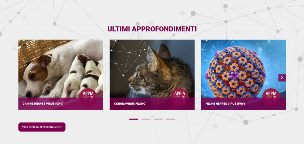 Schermata della sezione "ultimi approfondimenti" della homepage del sito appiavet.com